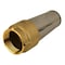 Water Source -RM Foot Valve, 2 in Connection, FNPT, 200 psi Pressure, Brass Body TFV200NL - alternate 3