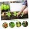 Wrightmaster 9.8 ft. x 29.5 ft. White Fabric Plant Protection Blanket for Cold Weather Reusable Frost Protection ZOR-DONGTAN - alternate 4