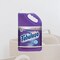 Colgate-Palmolive CPC153122 Fabuloso Multi-Use Cleaner; Purple CPC153122 - alternate 2