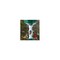 Woodlink Caged Bird Feeder, 18-Lb. Capacity 24055 - alternate 3
