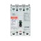 Eaton Molded Case Breakers (MCCBs) FD3100BP10 - alternate 1