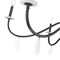 Z-Lite Toussant Matte Black  6 Light Chandelier 6103-45MB - alternate 4