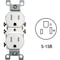 Leviton 15A White Tamper & Weather Resistant Residential Grade 5-15R Duplex Outlet R62-W5320-T0W - alternate 1