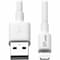 Tripp Lite Charging Cable, Apple Lightning, White, 6ft M100-006-WH - alternate 1