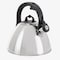 Mr. Coffee Starsbury 2.1 Quart Stainless Steel Whistling Tea Kettle with Stay-Cool Handles 143793.01 - alternate 1