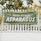 Signmission Farm Fresh Asparagus, 36 Inch x 96 Inch, Vinyl Banner B-96-30574 - alternate 3