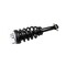 Hella PERFORMANCE LEVELING STRUT - GM 1500 2019-22 358512051 - alternate 7