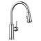 Blanco Empressa Pull Down 1.5 gpm, Chrome 442501 - alternate 1