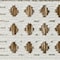 Homeroots 3' X 5' Beige and Brown Geometric Distressed Indoor Outdoor Area Rug 558745 - alternate 7