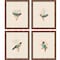 Homeroots Set Of Four On Perch I Gold Framed Print Wall Art, 4PK 526913 - alternate 1