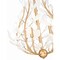 Z-Lite Claudine Modern Gold 5 Light Chandelier 353-24MGLD - alternate 4