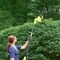 Sun Joe AC Supply Hedge Trimmer, Dual Action 19" L Blade SJH904E - alternate 9