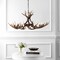 Jonathan Y Eldora 49" 10-Light Rustic Farmhouse Adjustable Resin Antler LED Chandelier, Brown JYL6320A - alternate 3