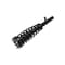 Fcs Struts Suspension Strut And Coil Spring Assembly 2335527R - alternate 3