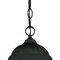Homeroots Matte Black Glass Lantern Hanging Light 398002 - alternate 3