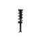 Fcs Struts Suspension Strut And Coil Spring Assembly 1355137 - alternate 1