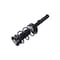 Fcs Struts Suspension Strut And Coil Spring Assembly 1337229 - alternate 3