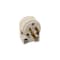 Leviton Plug Commercial PVC Angle Blade 5-15P 18-12 AWG 2 Pole 3 Wire Carded White 020-515AN-00W - alternate 1