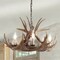 Jonathan Y Nelle 28.5" Adjustable Resin Antler 6-Light Chandelier, Brown JYL6302A - alternate 10