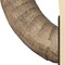 Homeroots Set of Two Brown And Black Resin And Metal Horn Decorative Bookends, 2PK 392132 - alternate 6