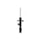 Fcs Struts Suspension Strut 334438L - alternate 1