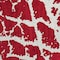 Homeroots 2' X 3' Red and White Abstract Washable Non Skid Indoor Outdoor Area Rug 559316 - alternate 7