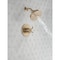 Delta Saylor Monitor 17 Series Shower Trim T17235-CZ - alternate 4