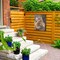 Trademark Fine Art Outdoor Canvas Art - David Stribbling 'Maincoon cat' Wall Art for Patios, or Gardens GRL01506-OC3547WR - alternate 6