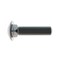 Zoro Select Carriage Bolt, Square Neck, 3/4"-10, 3 in L, Stainless Steel, 18-8, Not Applicable, 5 PK 31-CB-75C-300 - alternate 3