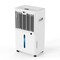 Edendirect 60 pt. 5,500 sq. ft. Dehumidifier for Basement with Bucket, Drain Hose, 35-45 dB Sleep Mode ZREdenDirect-60AT - alternate 5