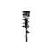Fcs Struts Suspension Strut And Coil Spring Assembly 1336346 - alternate 3
