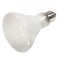 Ilc Replacement Halogen Bulb, 65W, 130V, BR30, Medium Screw (E26) INTERNATIONAL 65BR30/FL/HALOGEN - alternate 1