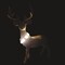 Alpine LED Buck Deer Statuary 21 in. Yard Decor SLL2692S - alternate 2