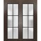 Sartodoors Sliding French Double Pocket Doors with Frosted Glass Planum 2122 48x84 (2* 24x84) Solid Core PLANUM2122DP-CA-48 x 84 (2* 24x84) - alternate 1