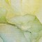 Homeroots 3' X 5' Green Abstract Washable Non Skid Indoor Outdoor Area Rug 559805 - alternate 5