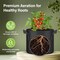 Ipower HealSmart Plant Grow Bags 5 Gallon, Tomoato Planter Pots with Handles, Black 2024 Version, 5PK GLGROWBAG5X5BLKV5 - alternate 6