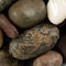 Msi Mixed Polished 0.5 Cu. Ft . 2 Cm To 3 Cm Pebbles. 40 Lb. Bag ZOR-LSC-0150 - alternate 6