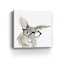Homeroots 40" x 40" Watercolor Cutie Rabbit in Glasses Canvas Wall Art 398855 - alternate 1
