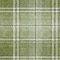 Homeroots 10' X 14' Green Black And Ivory Plaid Washable Indoor Outdoor Area Rug 596338 - alternate 3