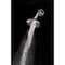 Whedon Blaster Massage Polished Chrome Plastic 5 settings Showerhead 2.5 gpm BM54C - alternate 2