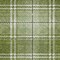 Homeroots 5' X 8' Green Black And Ivory Plaid Washable Indoor Outdoor Area Rug 596334 - alternate 2