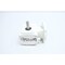 Boston Gear RIGHT ANGLE GEAR REDUCER 0.2HP 30:1 BKCF710-30KP-B4-6S1 - alternate 4