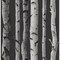 Fine Decor Distinctive Black Birch Tree Wallpaper 2900-31052 - alternate 1