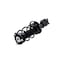 Fcs Struts Suspension Strut And Coil Spring Assembly 1333951L - alternate 4
