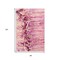 Homeroots 8' X 10' Raspberry Ivory And Gold Abstract Washable Indoor Outdoor Area Rug 643538 - alternate 2
