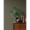 Advantage Ryu Multicolor Cement Texture Wallpaper 4035-37656-1 - alternate 2