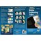 Tabbies BIBLE INDEXING TABS- RAINBOW OT & NT, 80 ASSORTED TABS, 1"L-1/4" EXT, 10 PKS/BX, 10PK 58346 - alternate 3