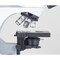Motic Instruments Usa Panthera E2 Trinocular 50:50 Compound Upright Microscope 1100104601126 - alternate 3