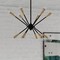 Vaxcel Ellis 12L Black and Brass Sputnik Mid-Century Modern Pendant Light P0375 - alternate 6