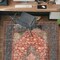 World Rug Gallery Red Vintage Medallion Rug - Washable, Low Pile, Great for Bedrooms or Living Rooms 4 ft x 6 ft WR171RED4X6 - alternate 1